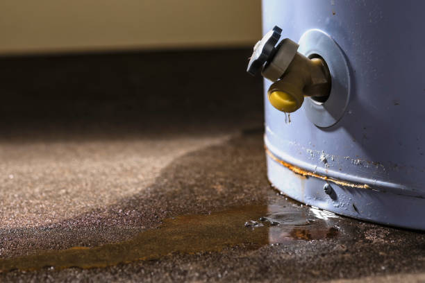 Best Carpet water damage restoration  in Bath, ME