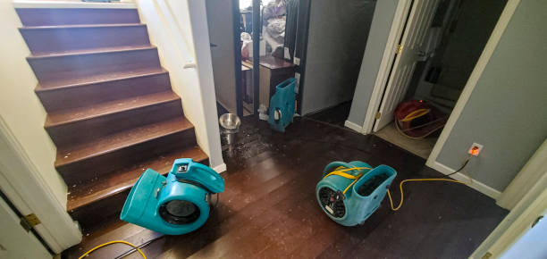 Best Residential water damage restoration  in Bath, ME