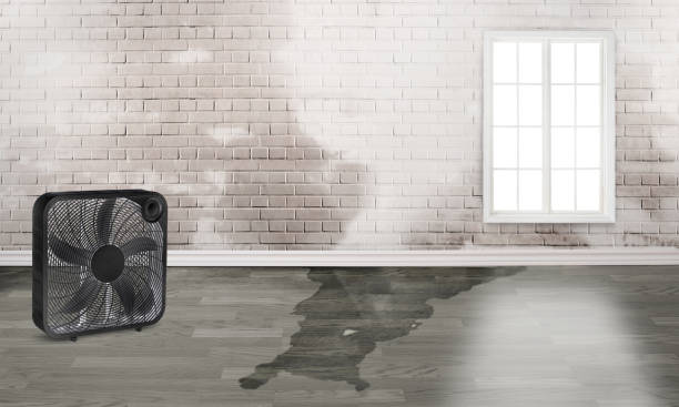 Best Water damage cleanup near me  in Bath, ME