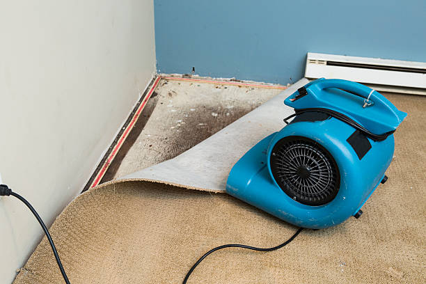Best 24/7 water damage repair  in Bath, ME